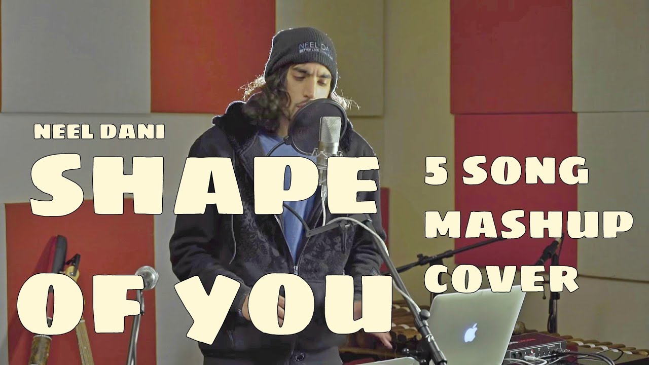 Ed Sheeran - Shape of You ft. Dub FX, Sean Paul, Rupee & Rae Sremmurd (Neel Dani Mashup)