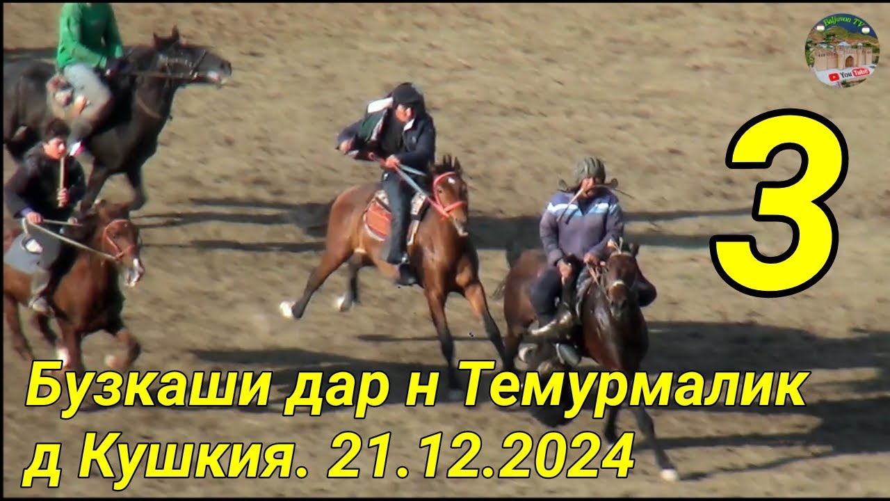 Бузкаши дар н Темурмалик д Кушкия кисми 3. 21.12.2024