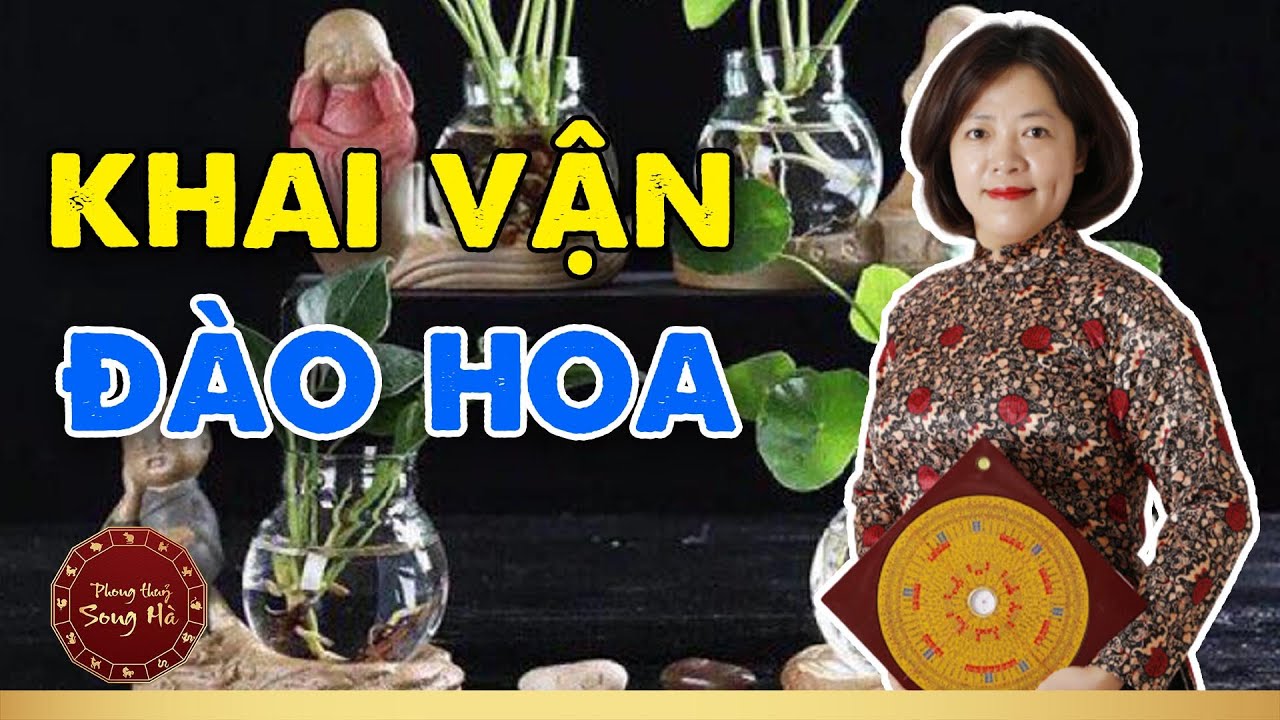 Phong thủy đặt bình hoa trong không gian sống giúp KHAI VẬN ĐÀO HOA | Phong Thủy Song Hà Official