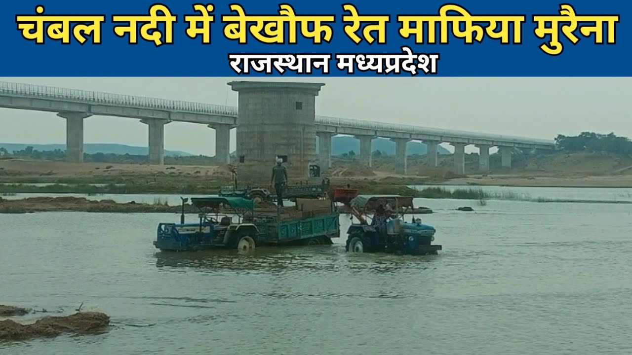 चंबल नदी में बेखौफ रेत माफिया मुरैना | gangster sald | chambal river ret mafia morena | video hindi