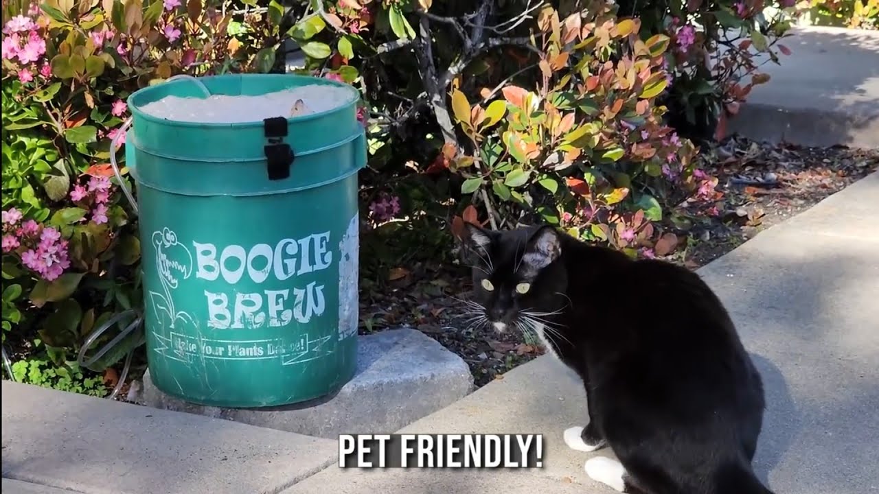 BOOGIE BREW: A LIVING SOIL'S FUEL OF CHOICE!