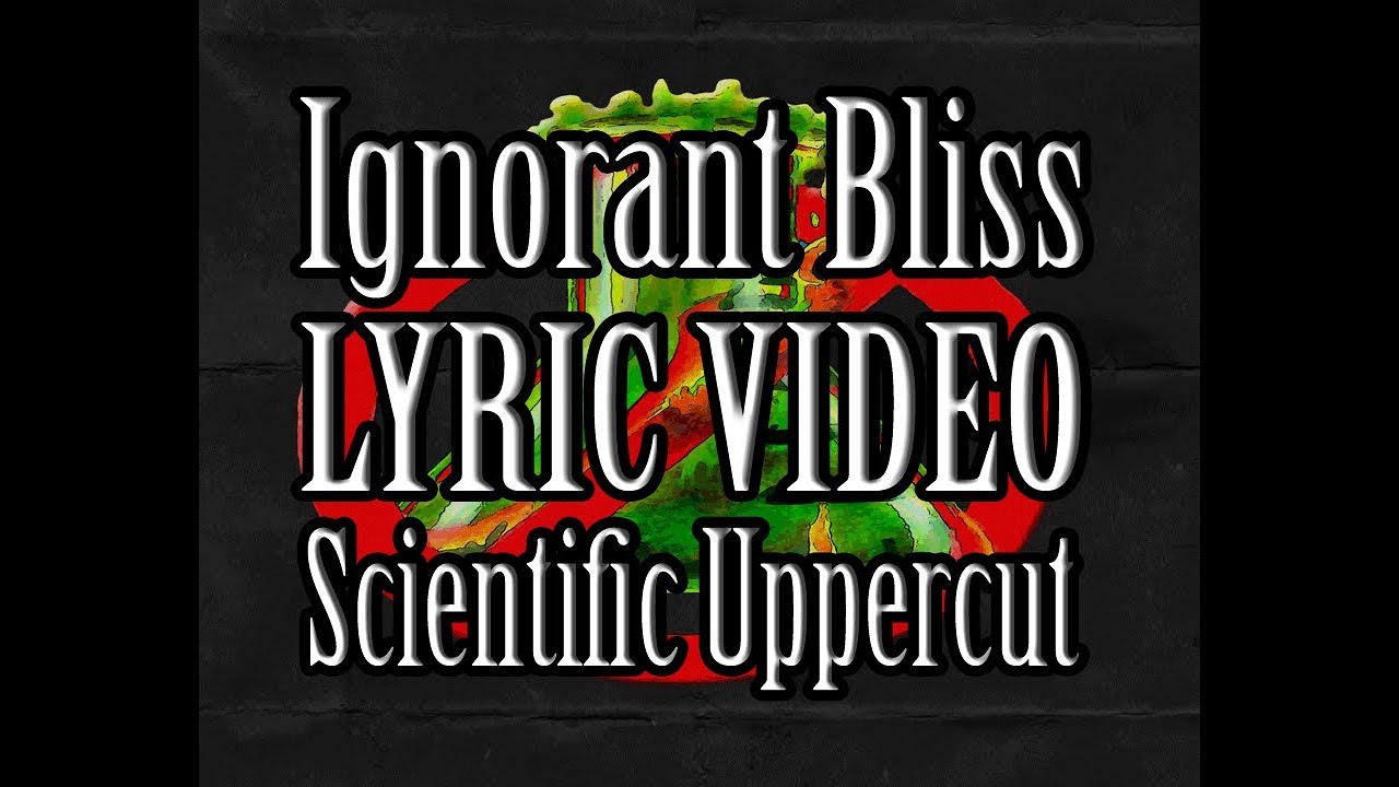 4 Ignorant Bliss Lyric Video - Blue Blanket Disaster Deluxe