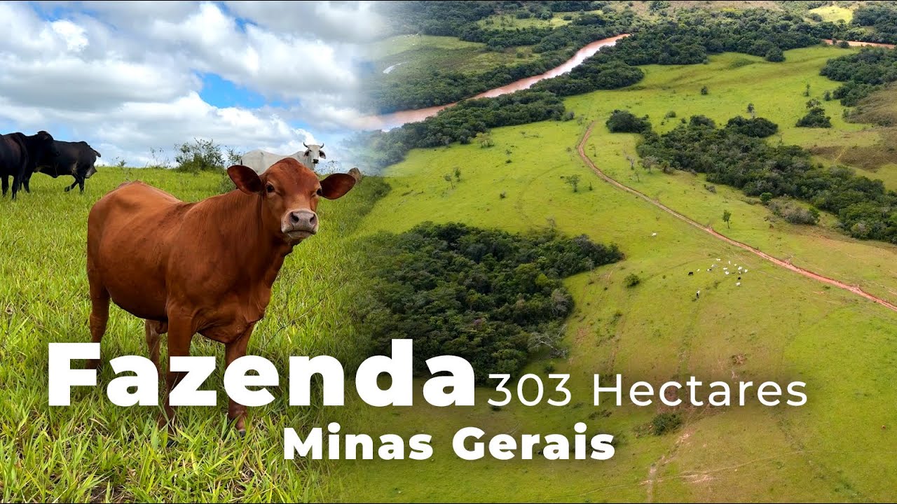 FAZENDA 303 HECTARES, BOM APROVEITAMENTO E MUITA ÁGUA | R$ 20 MIL O HECTARE
