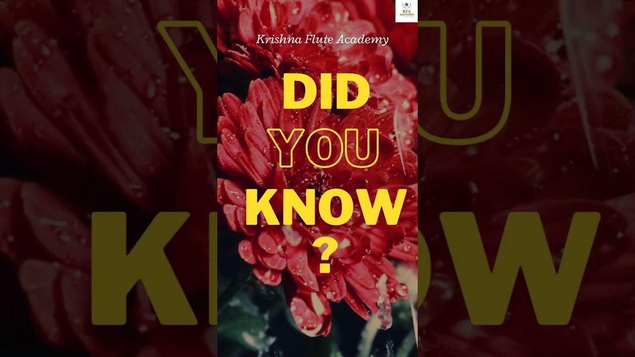 🎵 Did You Know? Meet the 'Magan of the Flute' - Legendary Indian Classical Flute Player! 🎶 