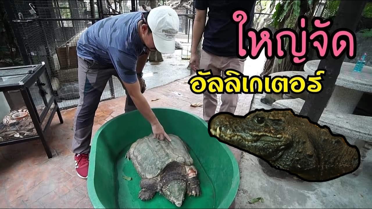 บุกฟาร์มสัตว์แปลก Mini Zoo  EP. 1/3