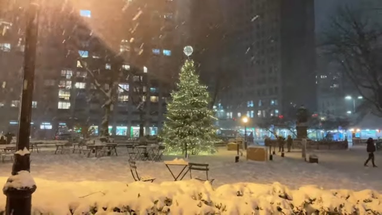 🇺🇸NEW YORK LIVE  SNOW Walking/Driving  Around NYC's  Snowstorm December 16, 2020