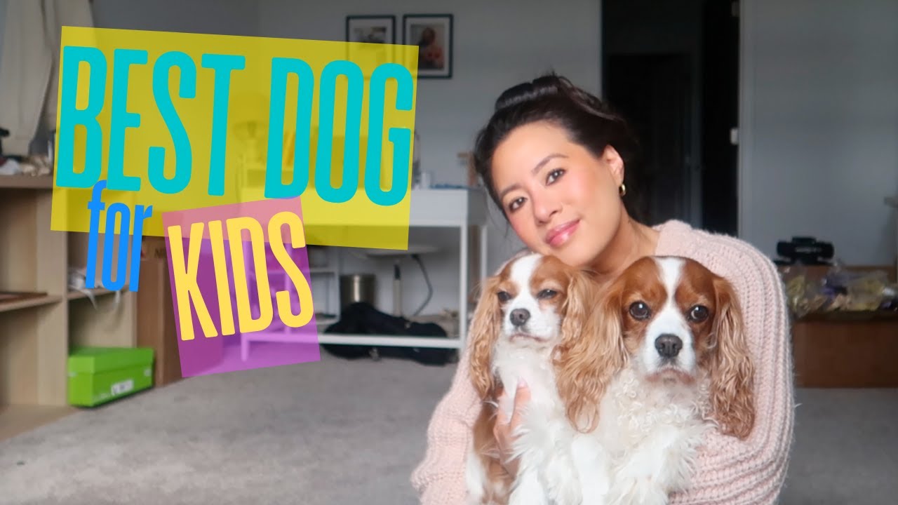 ARE CAVALIERS GOOD WITH KIDS?