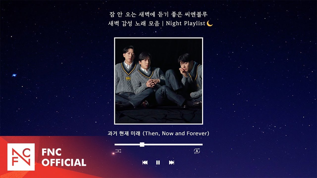 잠 안 오는 새벽에 듣기 좋은 씨엔블루 새벽 감성 노래 모음 | Night Playlist🌙