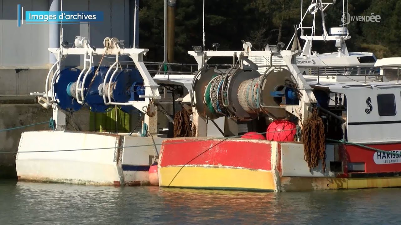 Gestion des ports : la SEM des Ports aux commandes