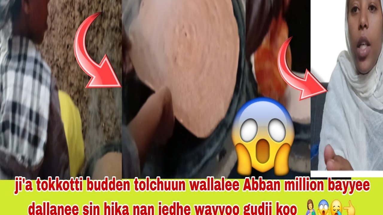 🤳😱ji'a tokkotti budden tolchuu wallale Abban million dallanee sin hika nan jedhe wayoo gudii koo😥👈