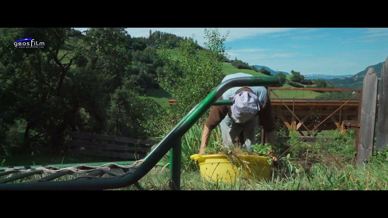 Nicht den Mut verlieren mit Frieda Gamper
