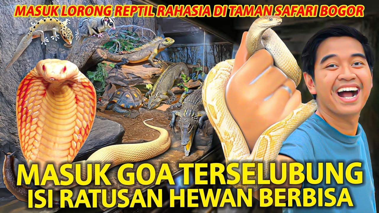 MASUK GOA TERSELUBUNG YANG ISINYA RATUSAN HEWAN BERBISA DI TAMAN SAFARI BOGOR!