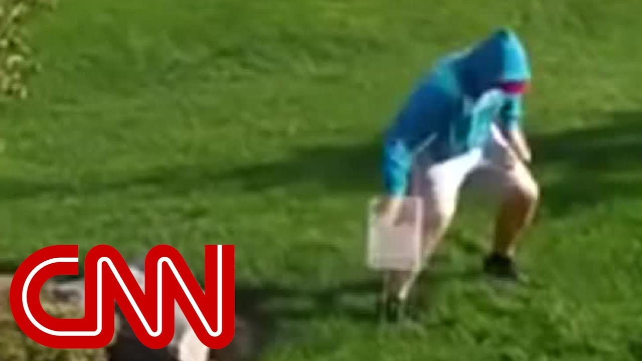 See the defensive techniques used to stop Trump sign theft