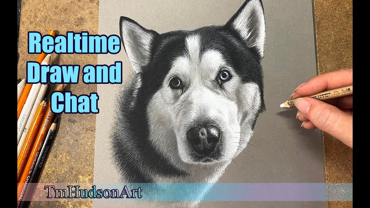 Drawing a Husky in Charcoal - Realtime Draw and Chat
