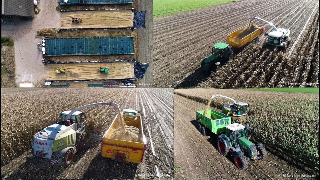 Mais hakselen / Chopping Corn / Mais H&auml;ckseln / Claas / John Deere / Massey Ferguson / Maisoogst