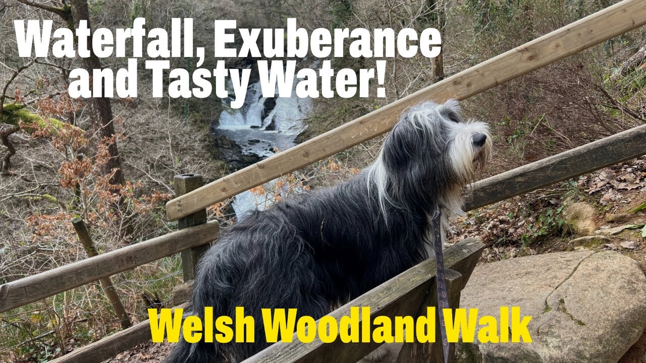 When you find some superb drinking water!