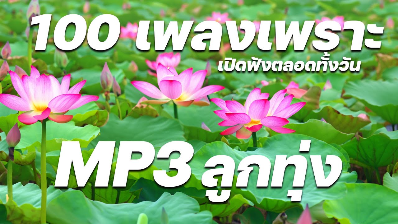ลูกทุ่ง 100 เพลงเพราะ : MP3 เปิดฟังตลอดทั้งวัน