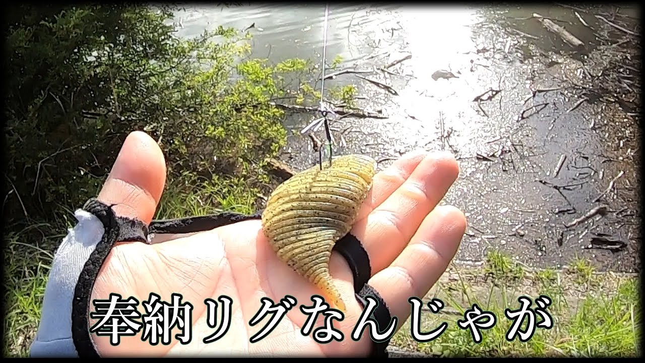 【ベローズギル】このままだと二度と使わない事になりそうなんだけども【ネコリグ】