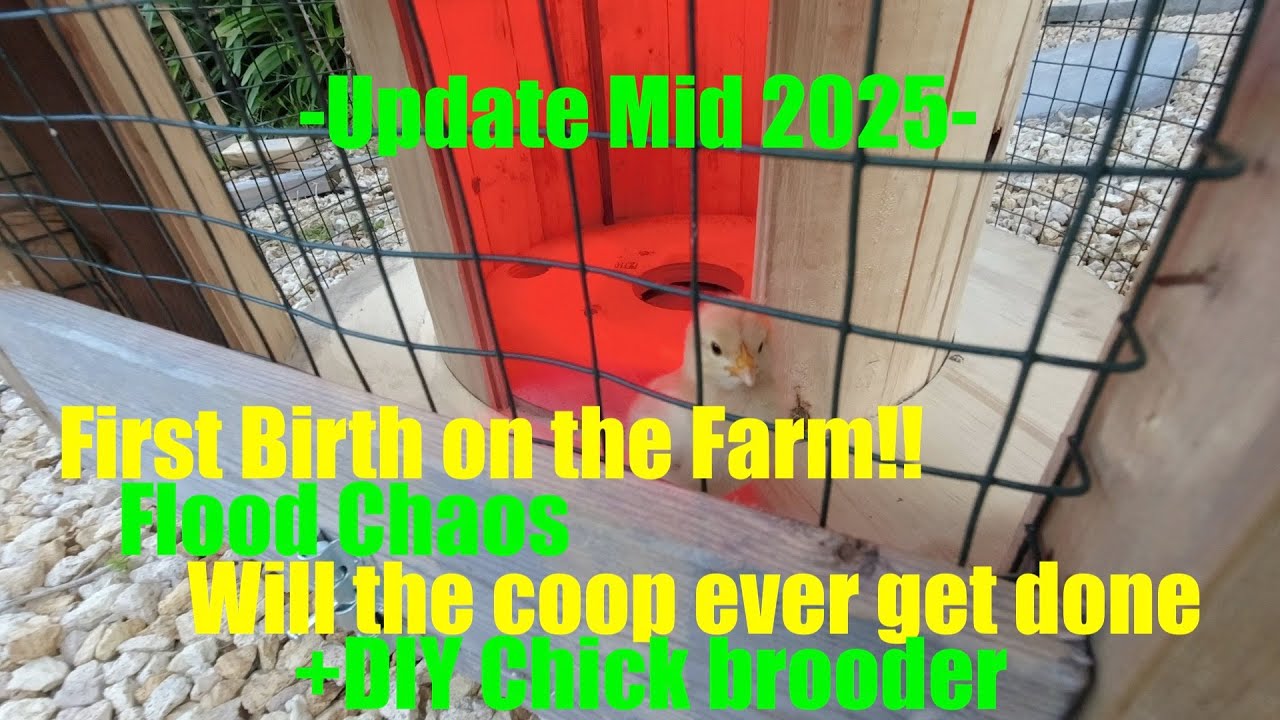 Farm Update Mid 2025