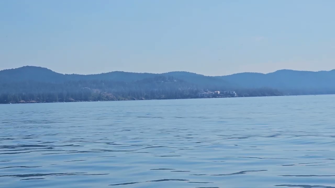 Humpback Whale Spouting in the Salish Sea