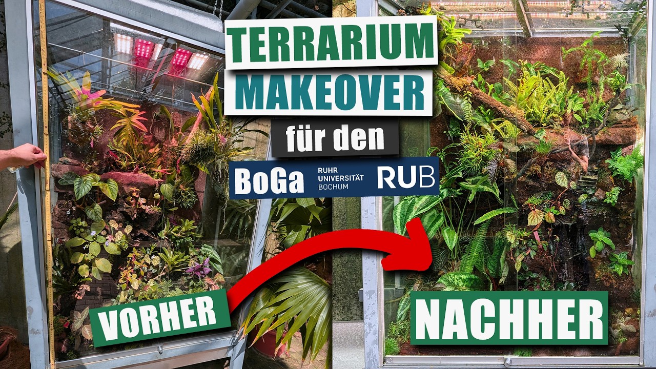 Terrarien Makeover für den Botanischen Garten Bochum!