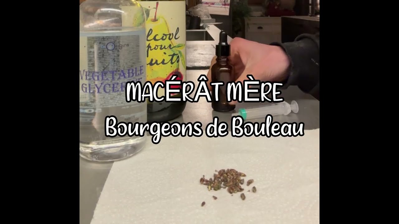 Gemmothérapie : Préparer un macérât mère 