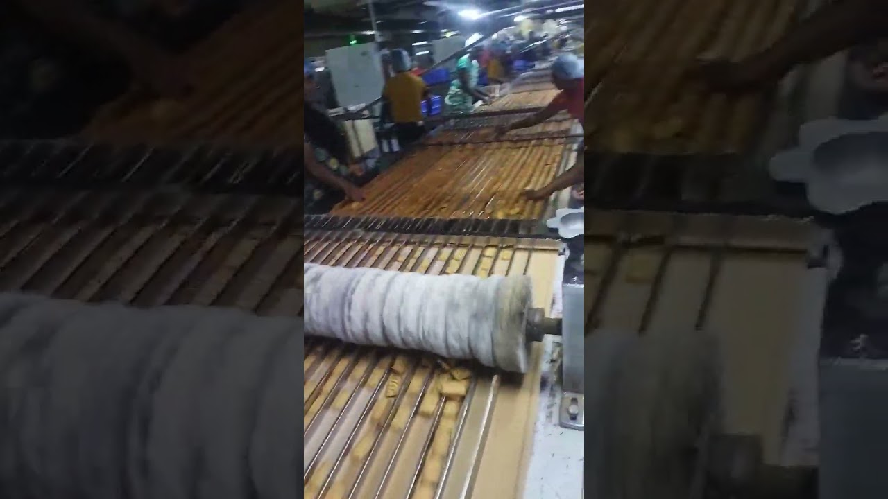 tiger biscuits line