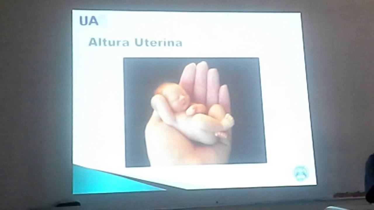 Edad Gestacional: Importancia y como determinarla [Dr Fritz]