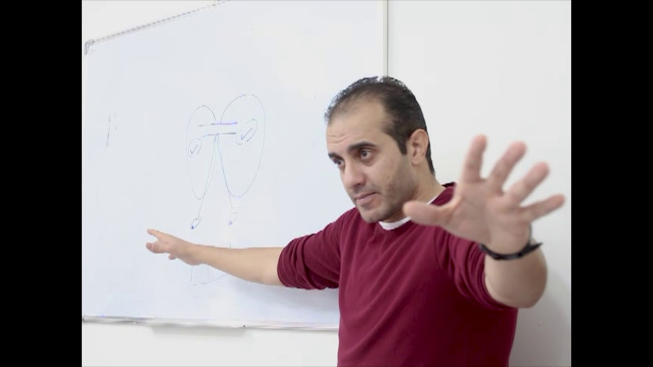 معلومات رائعة عن العقل البشري هتغير تعاملك مع كل الناس