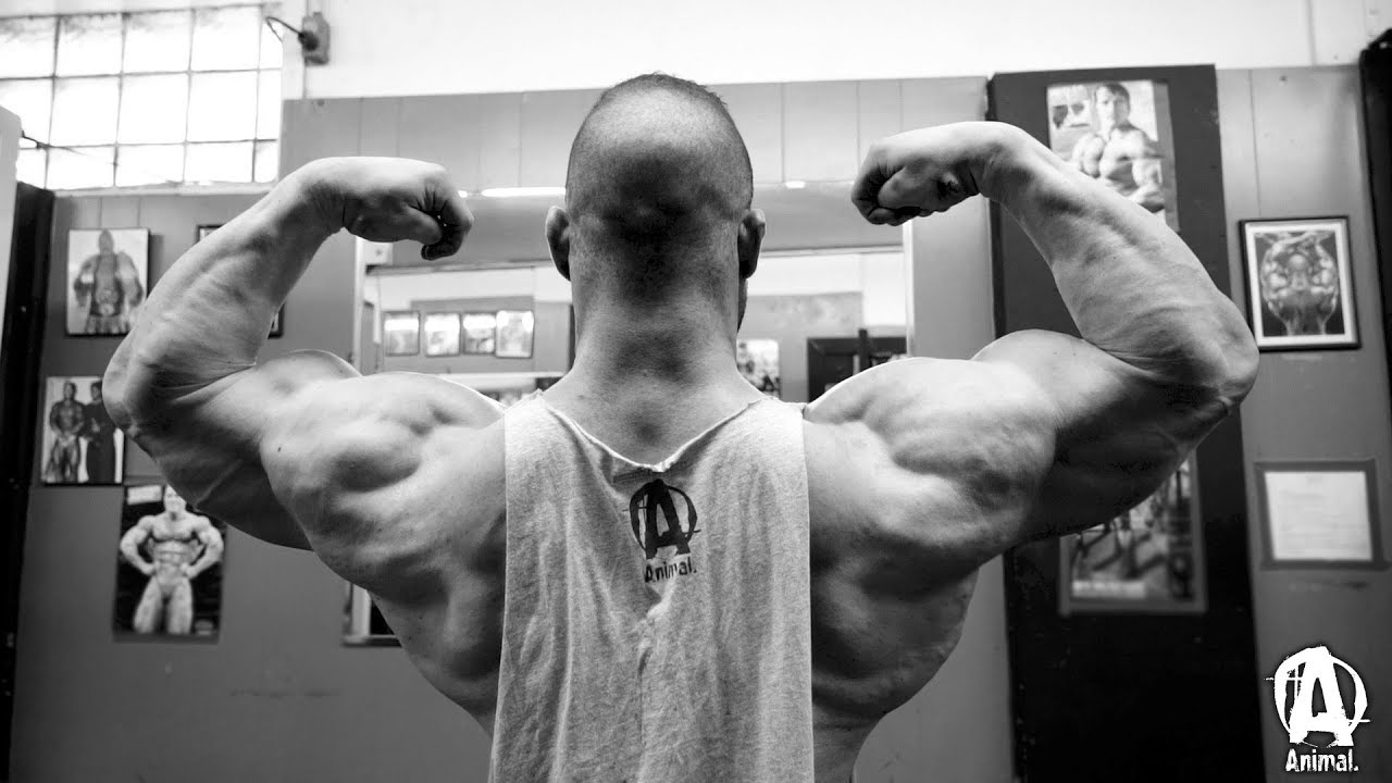 Smashing Back and Biceps with Roman Fritz