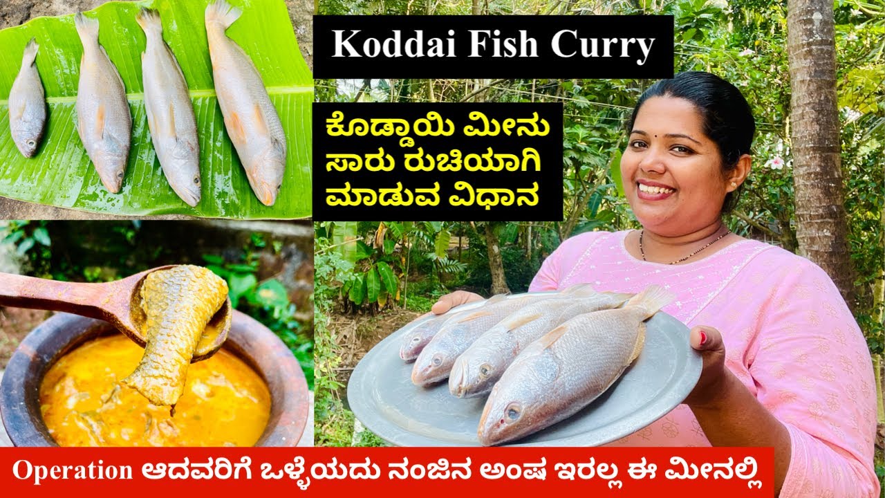 ಈ ರೀತಿ ಕೊಡ್ಡಾಯಿ ಮೀನು ಸಾರು ಮಾಡಿದರೆ ಮೀನು ಸಪ್ಪೆ ಸಪ್ಪೆಯಂತ ಆಗಲ್ಲ ರುಚಿಯಾಗಿ ಇರುತ್ತೆ । Koddai Fish Curry