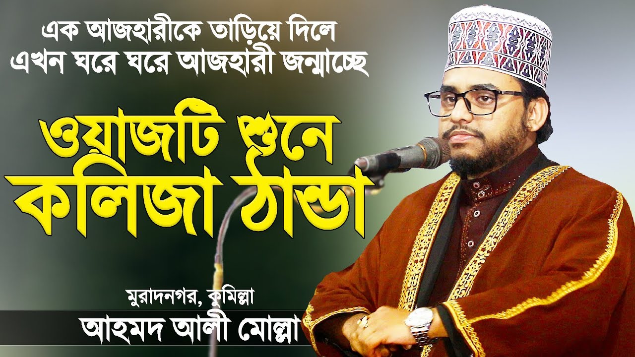 এ যেন আরেক আজহারী | ওয়াজটি শুনে কলিজা ঠান্ডা | New Bangla Waz | Hafez Maulana Ahmad Ali Molla