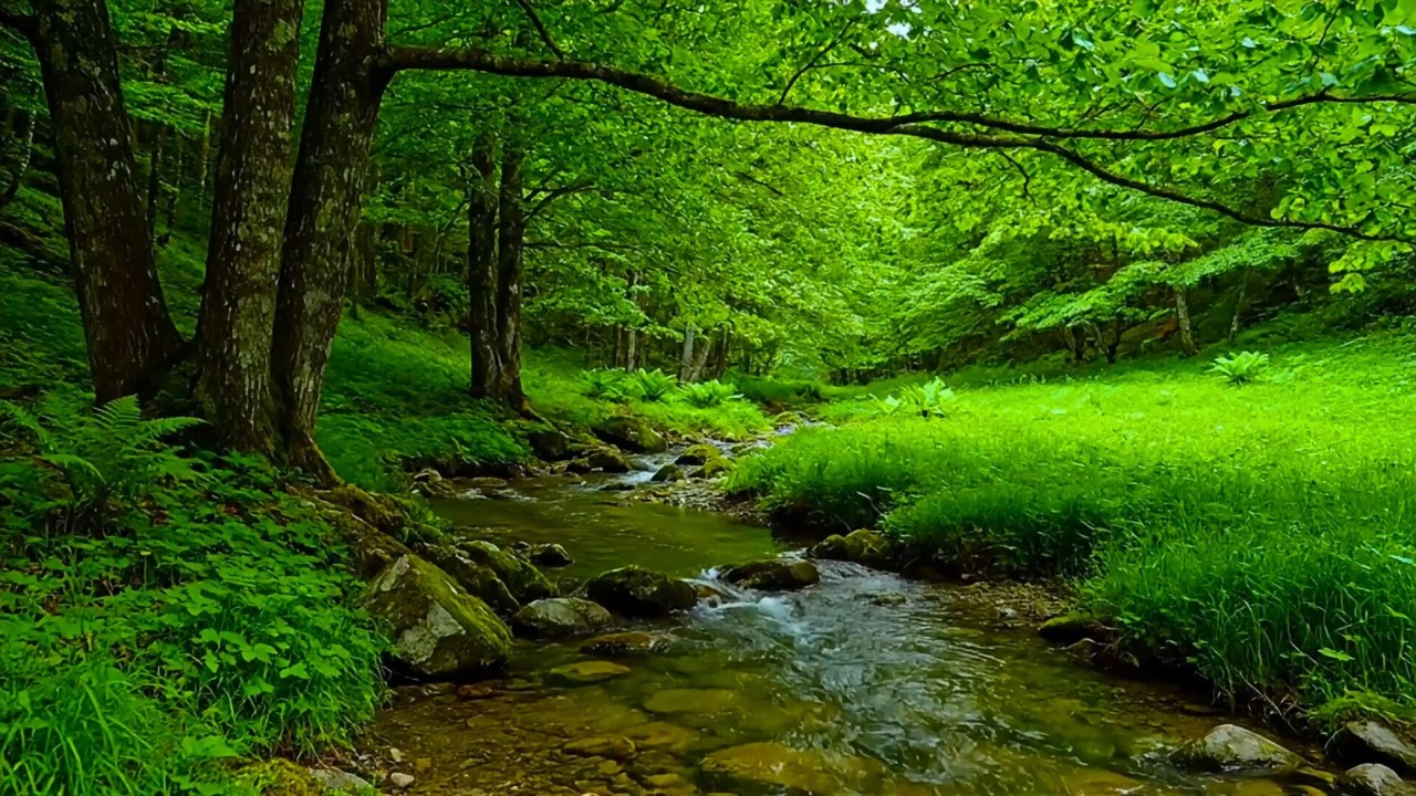 AMAZING Deep Sleep & Stress Relief That Calms Your Mind Instantly | Peaceful Forest Stream & Birds