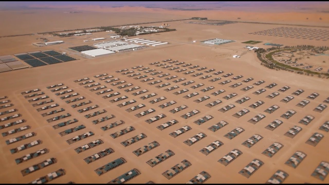جهودنا في دولة الإمارات - الصندوق الدولي للحفاظ على الحبارى