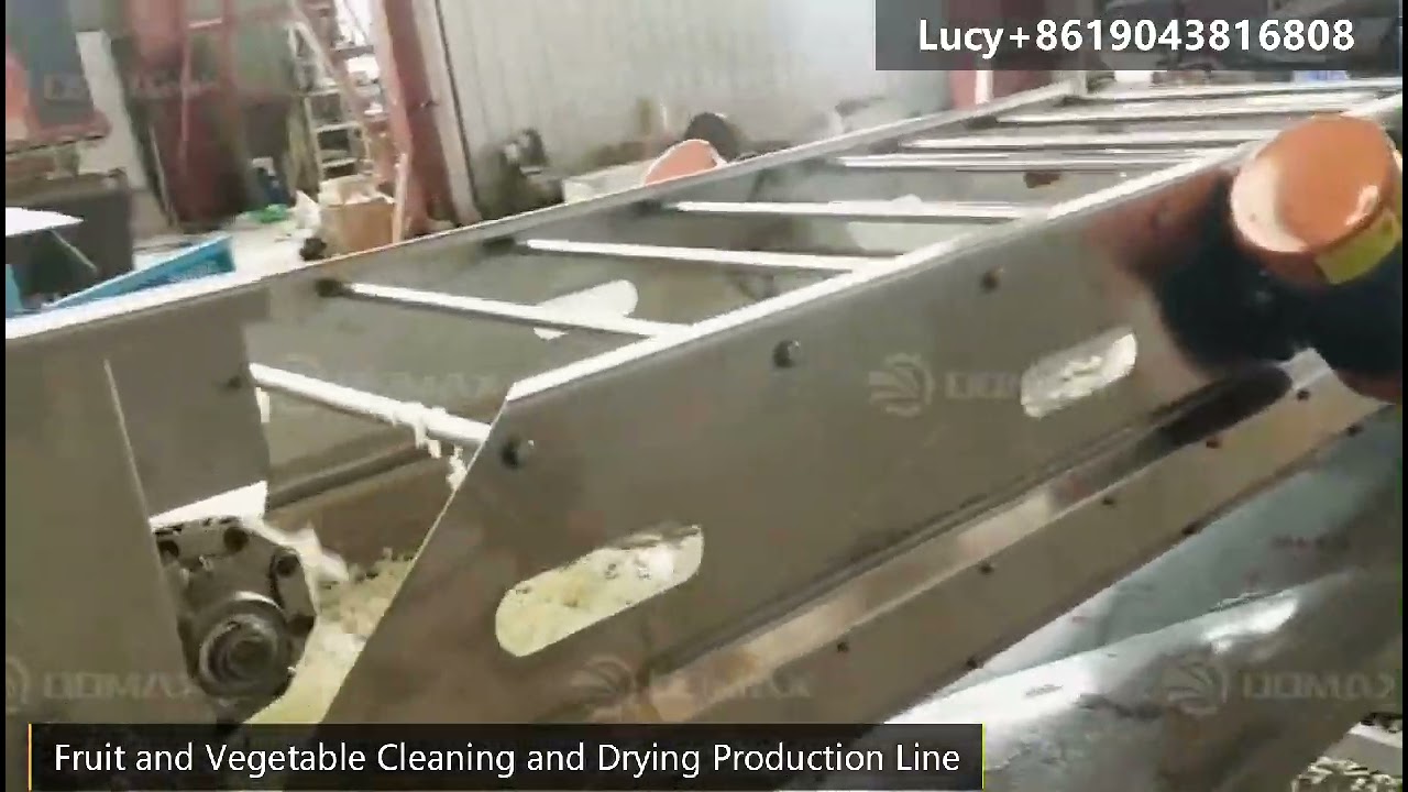 Durable Fruit Cleaning Machine Vegetable Air Bubble Brush Washing and Drying Machine