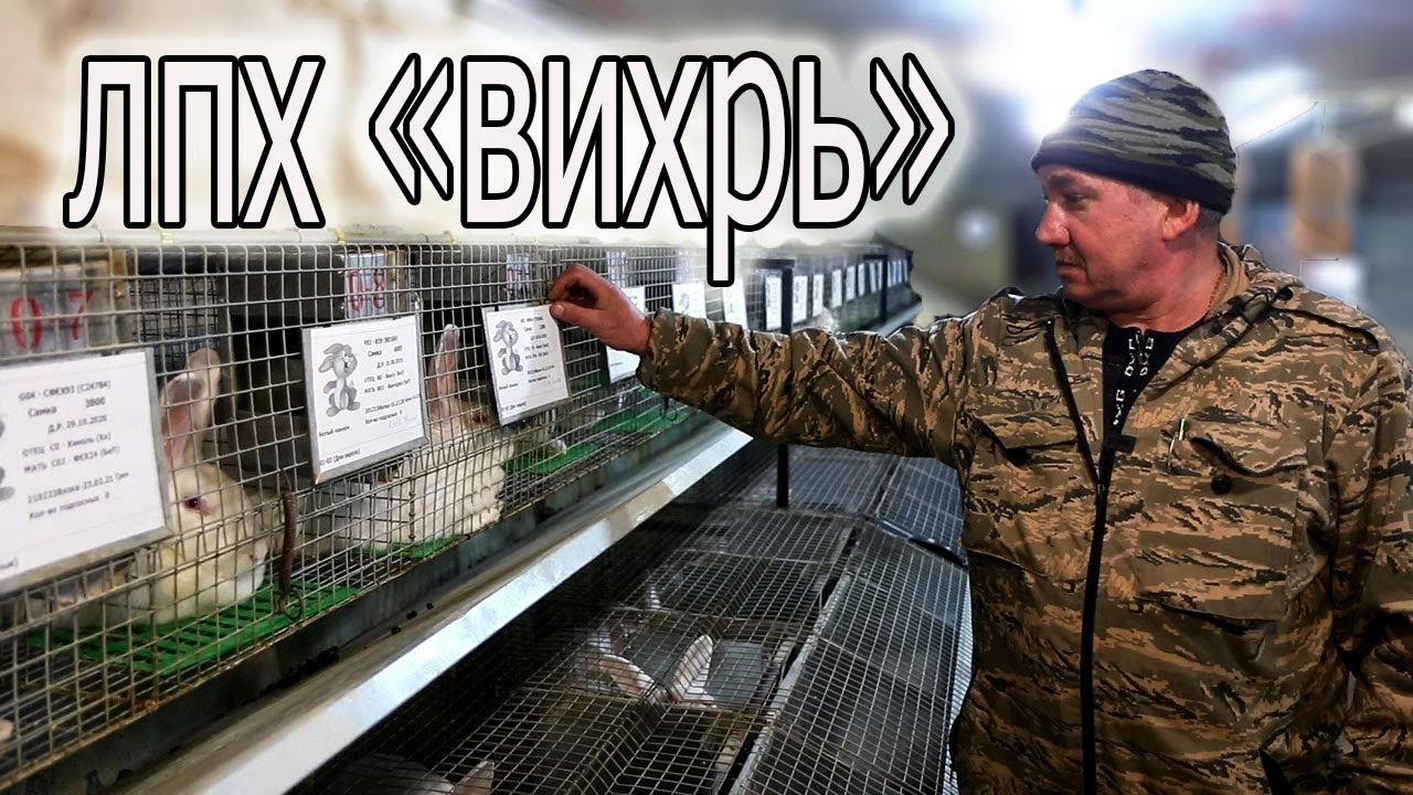 ОБРАЗЦОВО-ПОКАЗАТЕЛЬНЫЙ КРОЛЬЧАТНИК! В ГОСТЯХ У ВИКТОРА!