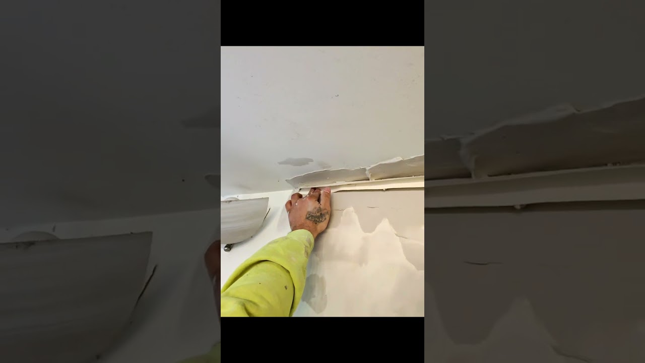 Damage from TENANTS!! 