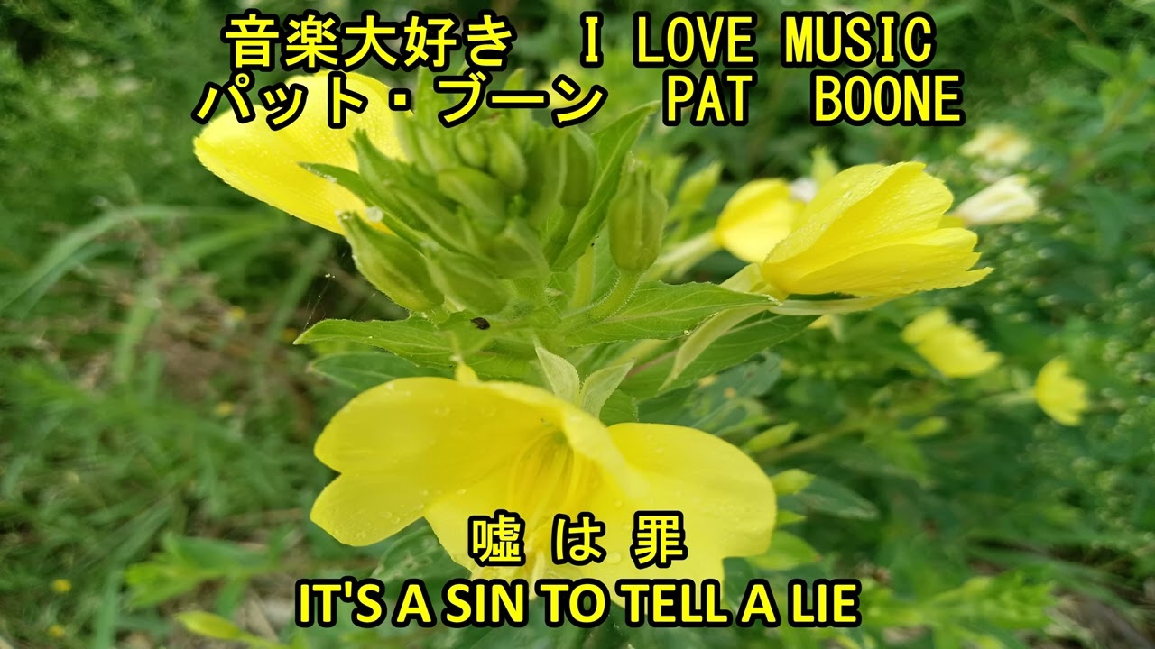 音楽大好き　パット・ブーン　「嘘は罪」　　I LOVE MUSIC  PAT BOONE  「IT'S A SIN TO TELL A LIE」