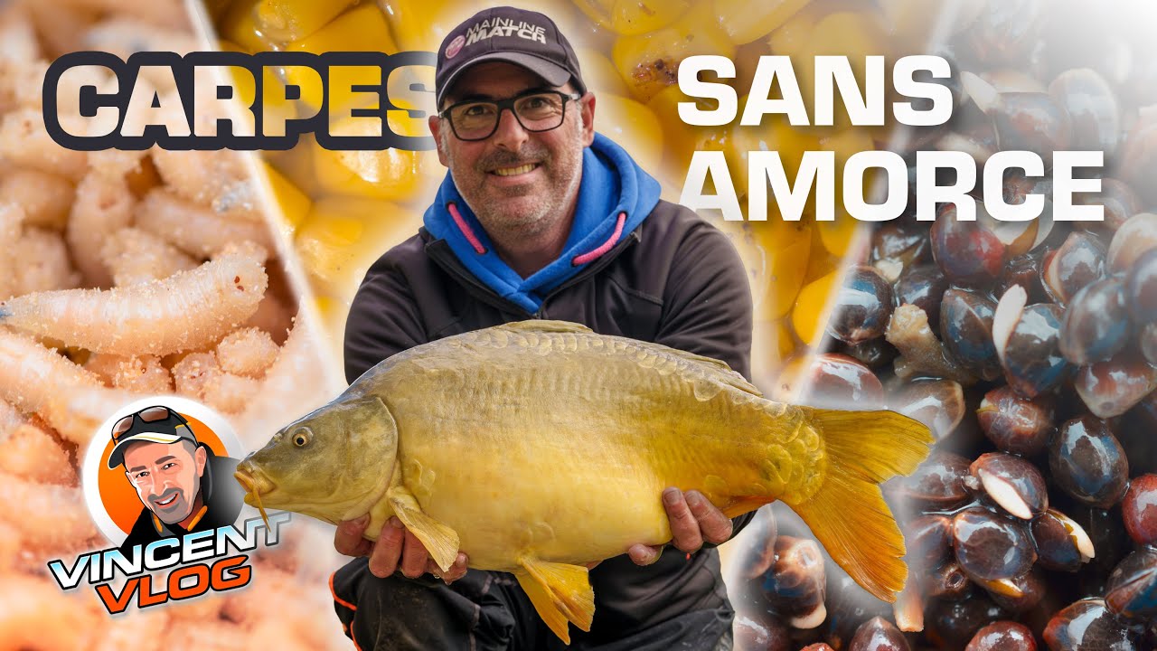 Entraînement au Feeder : #pêche de Carpes Sans Amorce - Asticots et Graines Collés