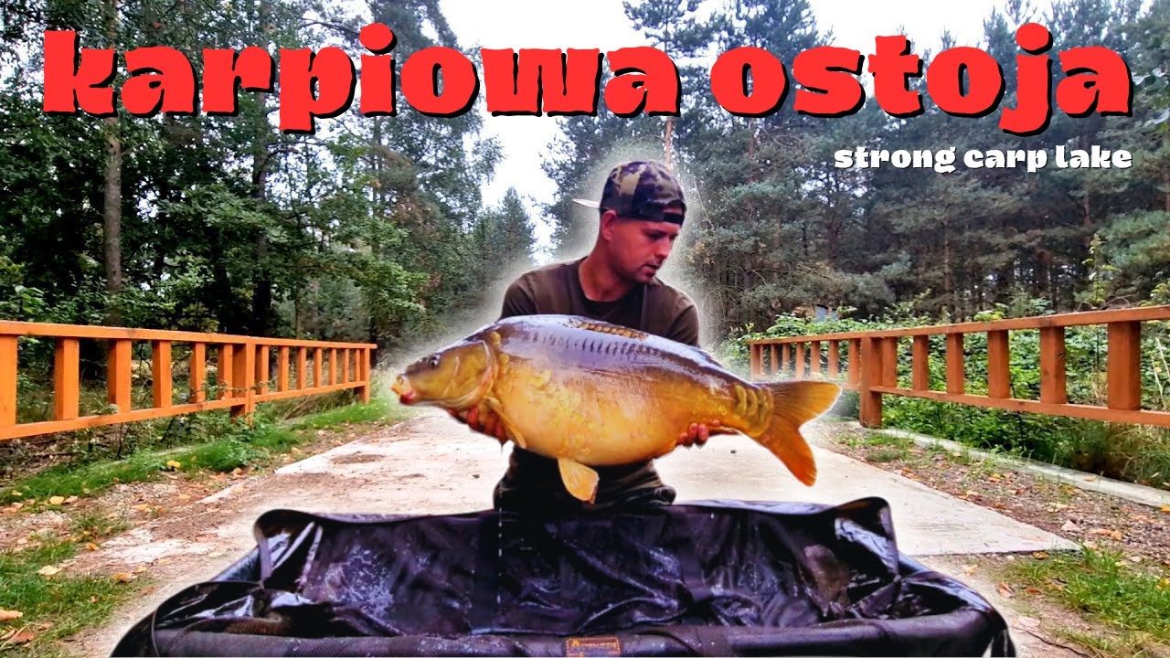 Karpiowa ostoja na stanowisku nr 1 - Strong Carp Lake