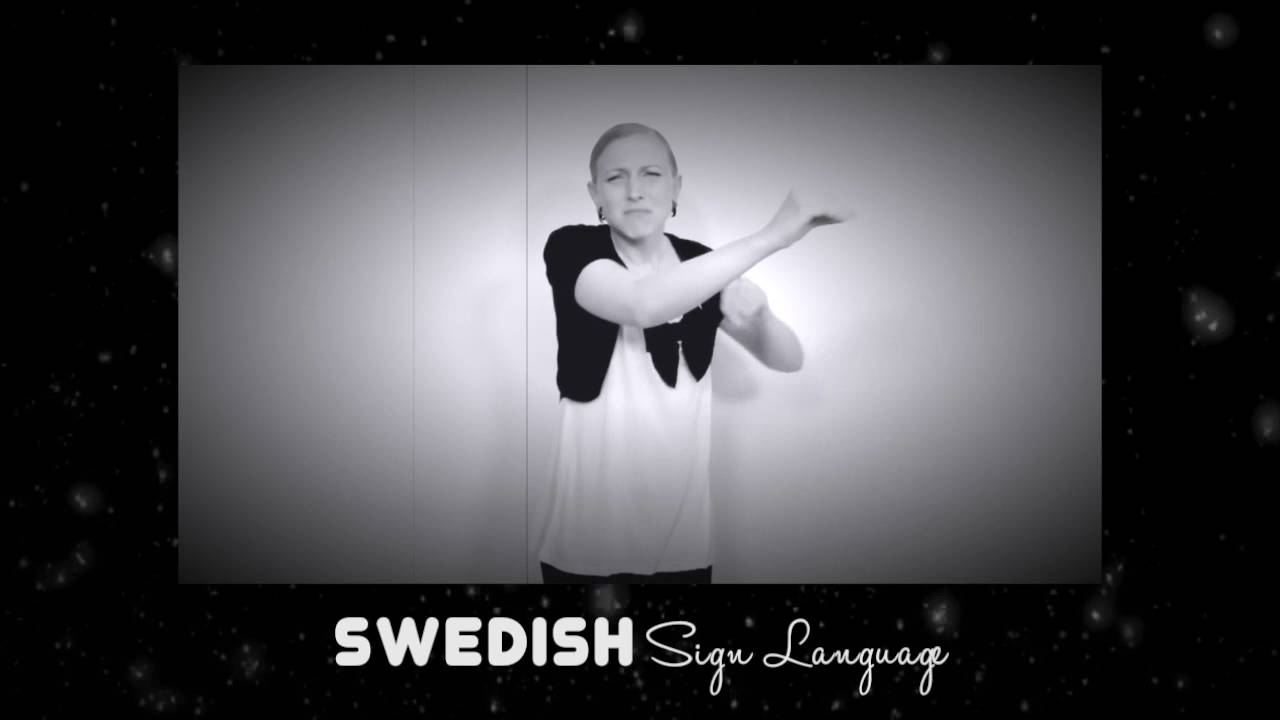 Let It Go: Sign Language Multilanguage