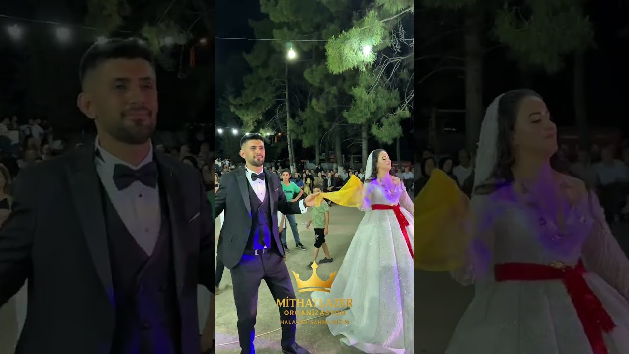 Şerikanlı düğünü- Solist ömer&ekibi