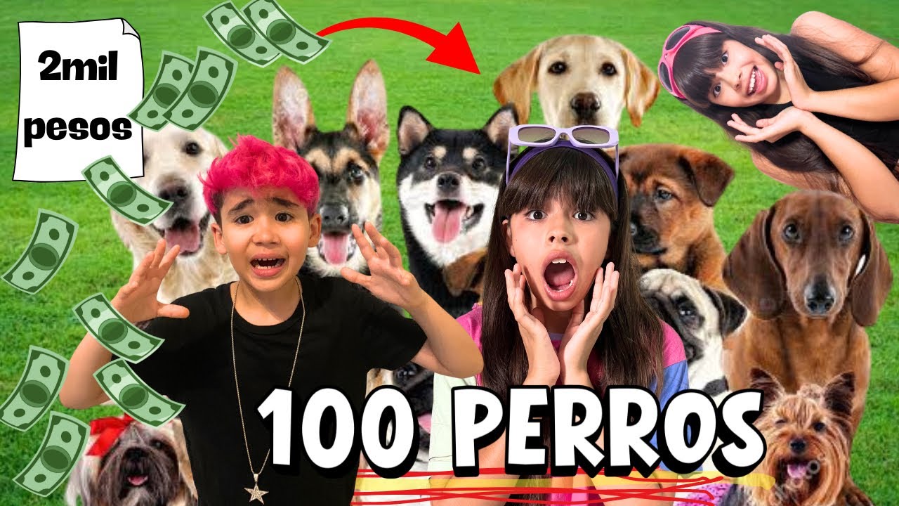 24 HORAS CUIDANDO PERROS | sale MAL MUCHA DIVERSI&Oacute;N 