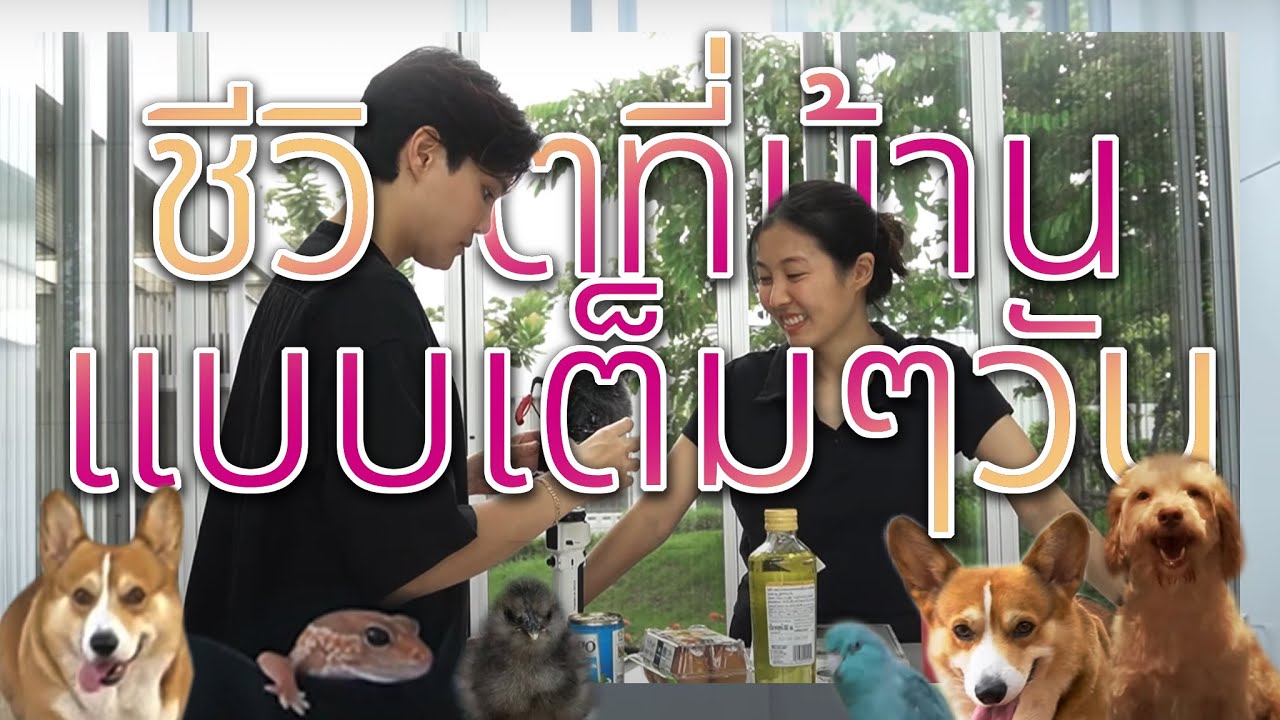 Vlog บ้านหมอเจี๊ยบ  1 day at home with us ;)