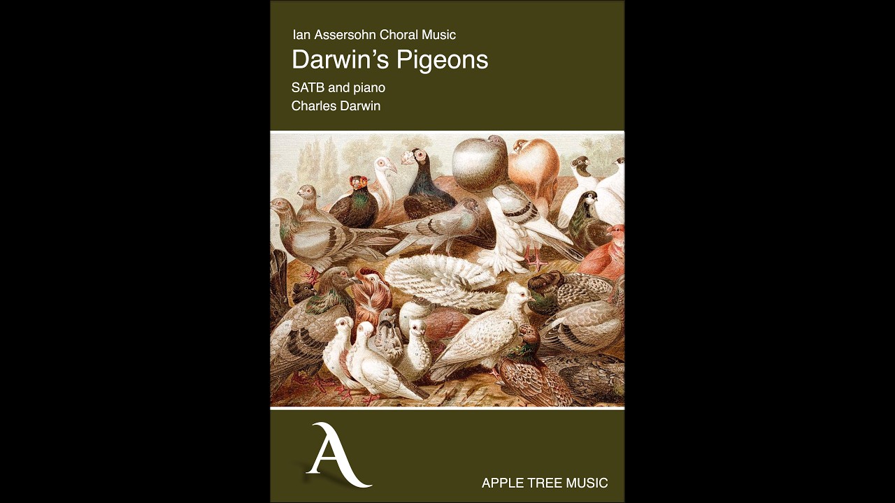 Darwin's Pigeons