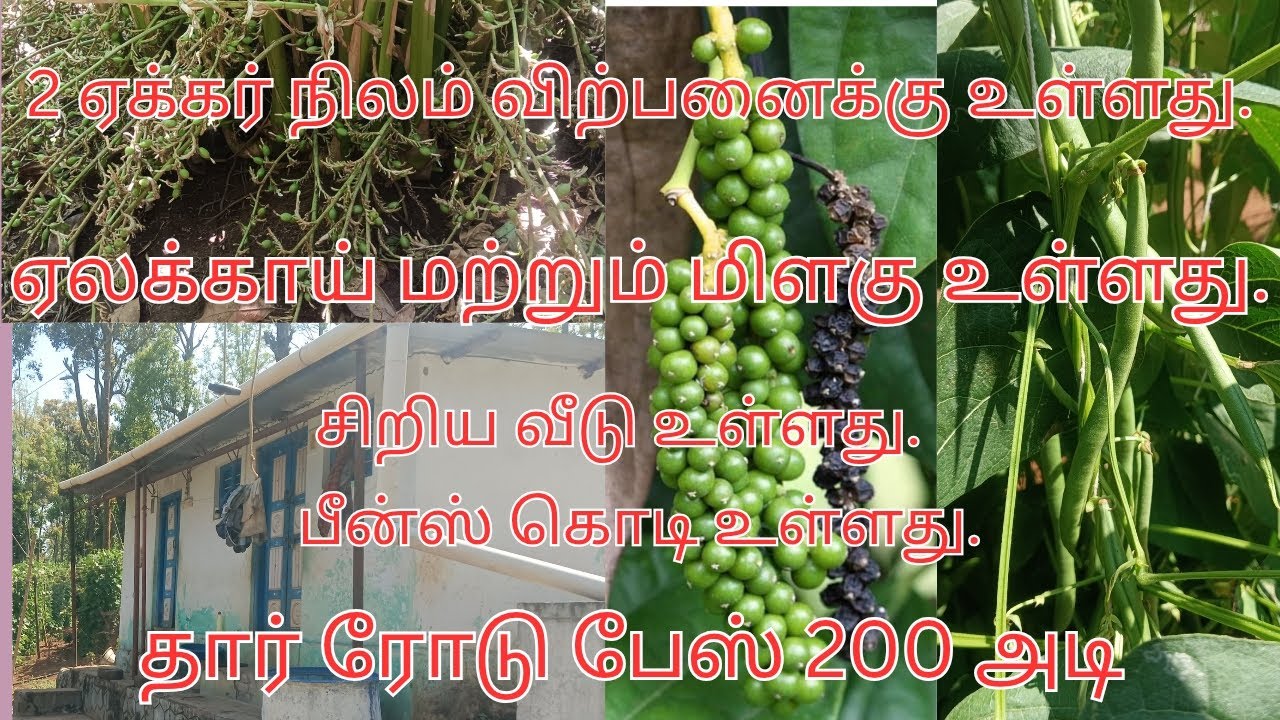 2 ஏக்கர் ஏலக்காய் மற்றும் பீன்ஸ் பயிரிடப்பட்ட நிலம் விற்பனைக்கு.8012932920
