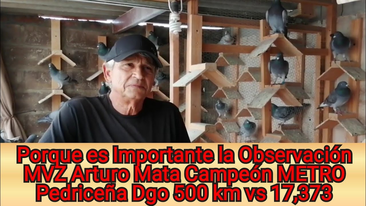 Por que la Observación es Importante, MVZ Arturo Mata Campeón METRO de Pedriceña 500 km vs 17373 pal