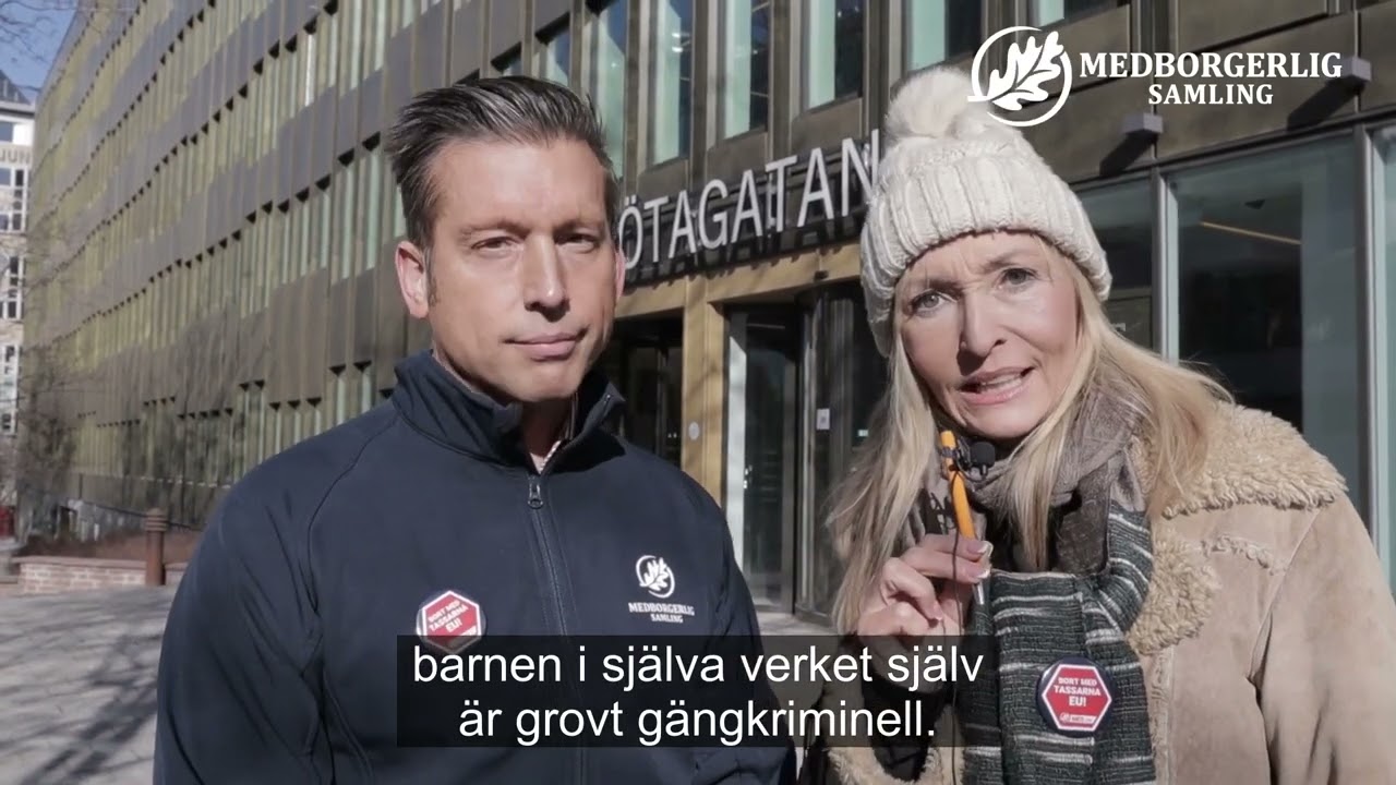 EU-projekt anst&auml;ller kriminell att jobba med barn i J&auml;rva