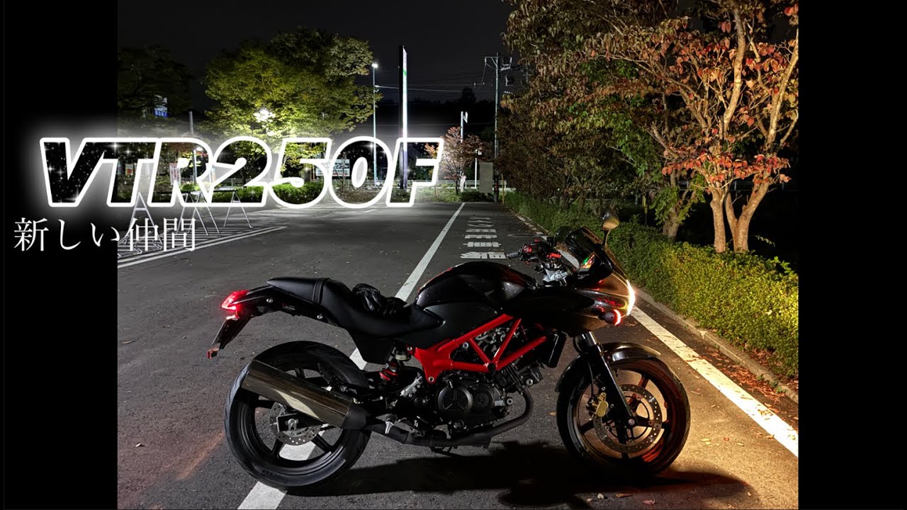 【バイク】VTR250Fがツーリングに加わった!【車種紹介】