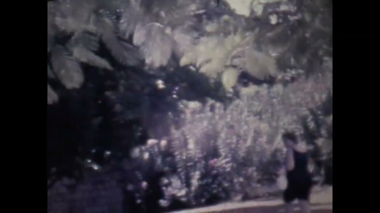 Jamaica Montego Bay 1979